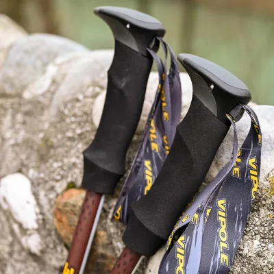 Палиці трекінгові Vipole Trango (S25 15) - 6 - Robinzon.ua