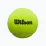 Мячи для падел тенниса Wilson PADEL 3 BALL CAN YEL (WR8900801001) - 1 - Robinzon.ua