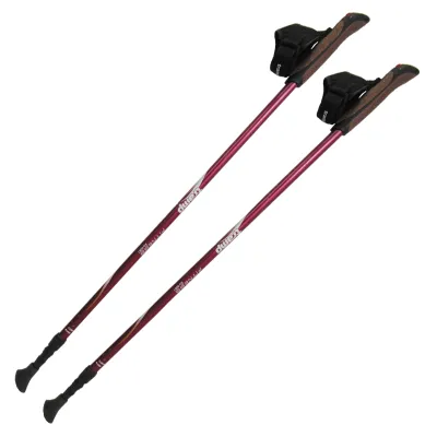 Палки для скандинавської ходьби Tramp Fitness пара TRR-011 - 2 Палки для скандинавської ходьби Tramp Fitness пара TRR-011 - 2 - Robinzon.ua