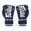 Боксерські рукавиці Fairtex BGV14 Blue 14 унцій - 1 - Robinzon.ua