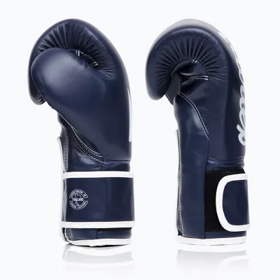 Боксерські рукавиці Fairtex BGV14 Blue 14 унцій - 2 - Robinzon.ua