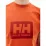 Футболка HELLY HANSEN HH BOX T 53285-179 - 2 - Robinzon.ua