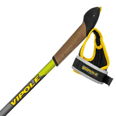 Палки для скандинавской ходьбы Vipole Instructor Vario QL Green DLX (S25 26) - 1 Палки для скандинавской ходьбы Vipole Instructor Vario QL Green DLX (S25 26) - 1 - Robinzon.ua