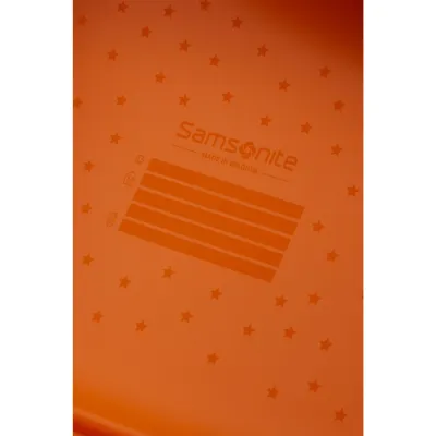 Валіза 52 см DREAM2GO TIGER TOBY - 6 - Robinzon.ua