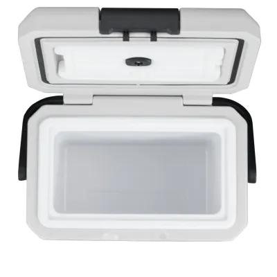 Компресорний автохолодильник Alpicool P8 (8 літрів). До -15℃, живлення 12, 24, 220 вольт - 3 - Robinzon.ua