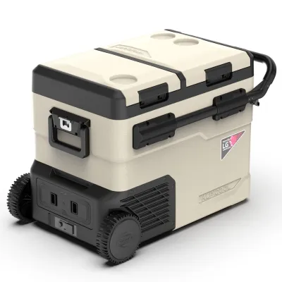 Компрессорный автохолодильник Alpicool TGBSW45 (LG). 47 литров. Двухкамерный. До -20℃. (12, 24, 220 вольт) - 1 Компрессорный автохолодильник Alpicool TGBSW45 (LG). 47 литров. Двухкамерный. До -20℃. (12, 24, 220 вольт) - 1 - Robinzon.ua