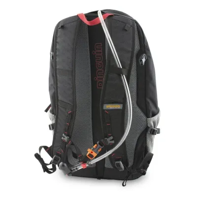 Рюкзак Pinguin Step 24, Red (PNG 326130) 2020 - 7 - Robinzon.ua