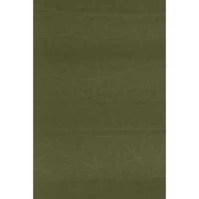 Коврик самонадувной Sea to Summit Self Inflating Camp Plus Mat, Moss, Regular, 183x51x7.5см (STS AMSICAPLR) - 2 - Robinzon.ua