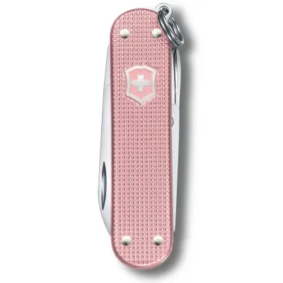 Складной нож Victorinox Classic SD Vx06221.252G - 1 - Robinzon.ua