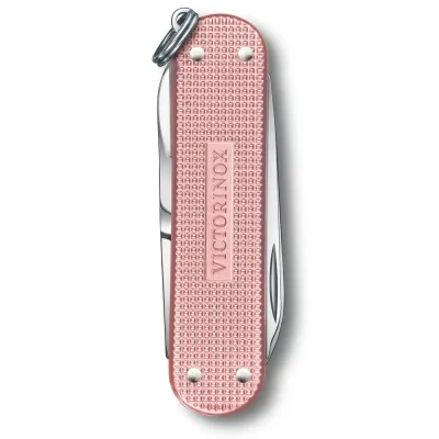 Складной нож Victorinox Classic SD Vx06221.252G - 2 - Robinzon.ua