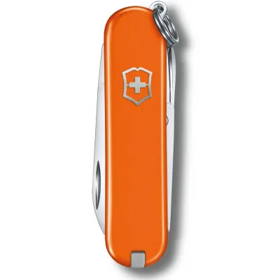 Розкладний ніж Victorinox Classic SD Vx06223.83G - 1 - Robinzon.ua