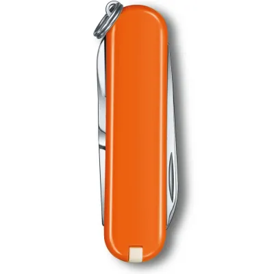 Розкладний ніж Victorinox Classic SD Vx06223.83G - 2 - Robinzon.ua