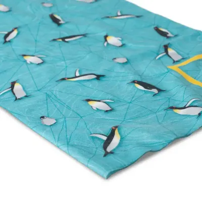 Шарф-труба для дітей (8-12 років) Buff Original Ecostreth Colding Blue (BU 130047.707.10.00) - 1 - Robinzon.ua