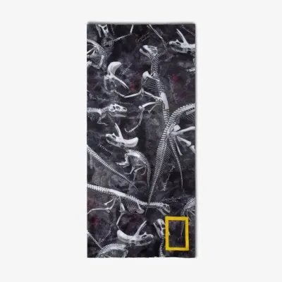 Шарф-труба дитячий (4-12) Buff Original Ecostreth, Jeffer Grey (BU 130046.937.10.00) - 1 - Robinzon.ua