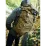 Тактичний рюкзак Tasmanian Tiger Mil OPS Pack 30, Olive (TT 7323.331) - 7 - Robinzon.ua