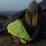 Lifeventure чохол для рюкзака Rucksack Rain Cover 35 L. - 2 - Robinzon.ua