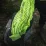 Lifeventure чохол для рюкзака Rucksack Rain Cover 65 L. - 3 - Robinzon.ua