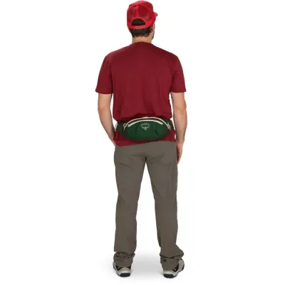 Поясная сумка Osprey Daylite Waist зеленый 009.3742 - 7 - Robinzon.ua