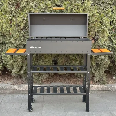 Мангал-барбекю Mzavod Гелиос на 12 шампуров 4мм - 1 - Robinzon.ua