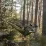 Гамак Grand Canyon Bass Mosquito Hammock Nutria Brown (30621632) - 2 - Robinzon.ua