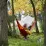 Гамак Grand Canyon Bass Hammock Rooibos Tea Red (30621629) - 5 - Robinzon.ua