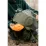 Рюкзак Tramp Hike 30 UTRP-058-оливковый - 7 - Robinzon.ua