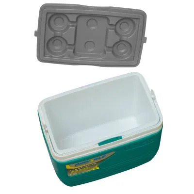 Термобокс Pinnacle Eskimo Primero 32 л, бирюзовый - 3 - Robinzon.ua