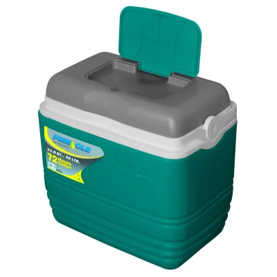 Термобокс Pinnacle Eskimo Primero 32 л, бирюзовый - 4 - Robinzon.ua