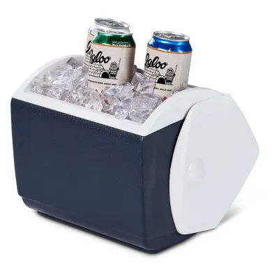 Изотермический контейнер Igloo Playmate PAL, 6 л, серый - 7 - Robinzon.ua