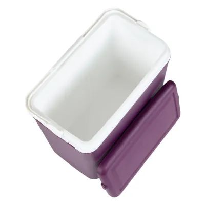 Изотермический контейнер Adriatic на 24 л, фиолетовый - 6 - Robinzon.ua