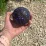 Массажный мяч PowerPlay PP-4350 Epp Massage Ball (d8) Черно/Фиолетовый - 8 - Robinzon.ua