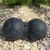 Масажний м'яч подвійний PowerPlay PP-4353 Epp foam peanut ball (d12*24cm.) Чорно/Синій - 8 - Robinzon.ua
