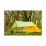 Пончо Turbat Molfar S/M Yellow - 7 - Robinzon.ua