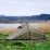 Намет Nordisk Svalbard 1 PU (2.0) Dark Olive Green (10921205) - 2 - Robinzon.ua
