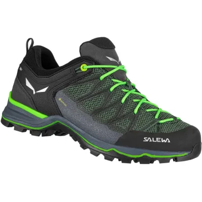 Кросівки чоловічі Salewa MTN TRAINER LITE 43 - зелений з мембраною Gore-Tex®, трекінгові - 013.001.4422 - 1 - Robinzon.ua