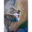 Скельники SCARPA Drago - 6 - Robinzon.ua