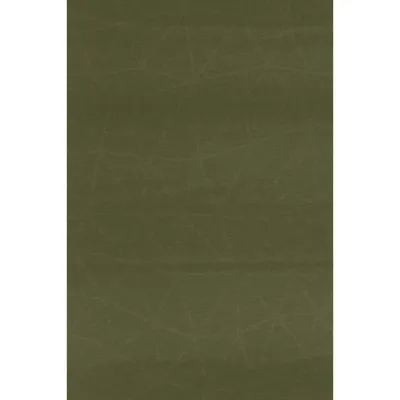 Коврик самонадувной Sea to Summit Self Inflating Camp Plus Mat 75mm, Rectangular Large, Moss, 201x64x7.5см (STS AMSICAPLRL) - 2 - Robinzon.ua