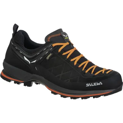 Кросівки чоловічі Salewa MTN TRAINER 2 GTX 41 - чорний з мембраною Gore-Tex®, трекінгові - 013.001.4283 - 1 - Robinzon.ua