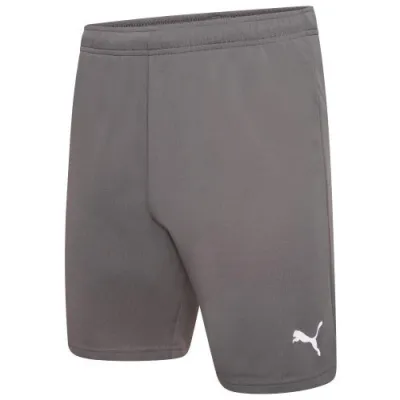 Шорты Puma teamRISE Short серый Муж L 704942-13 L - Robinzon.ua