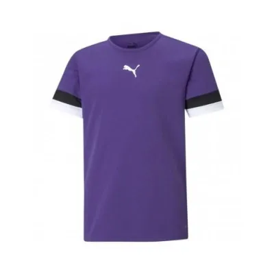 Футболка Puma teamRISE Jersey Jr фиолетовый Дет 176 см 704938-10 176 см - Robinzon.ua
