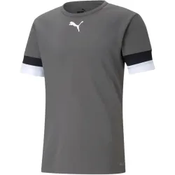 Футболка Puma teamRISE Jersey серый Муж XXL 704932-13 XXL - Robinzon.ua