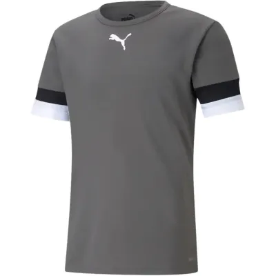 Футболка Puma teamRISE Jersey серый Муж M 704932-13 M - Robinzon.ua