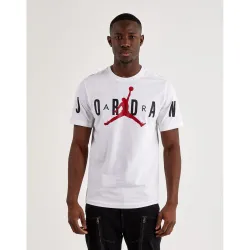 Мужская Футболка JORDAN MJD AIR STRETCH SS CREW Белый L (7dDV1445-100 L) - Robinzon.ua