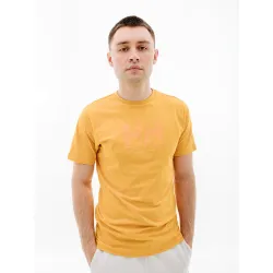 Чоловіча Футболка HELLY HANSEN HH LOGO T-SHIRT Помаранчевий L (7d33979-364 L) - Robinzon.ua