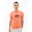 Мужская Футболка HELLY HANSEN RWB GRAPHIC T-SHIRT Оранжевый XL (7d53763-284 XL) - Robinzon.ua