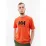 Мужская Футболка HELLY HANSEN HH LOGO T-SHIRT  Оранжевый L (7d33979-300 L) - Robinzon.ua