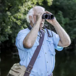 Бінокль Vanguard Endeavor ED IV 8x42 WP (Endeavor ED IV 8420) - Robinzon.ua