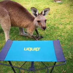 Стульчик розкладной Uquip Fancy Blue/Grey (244017) - Robinzon.ua