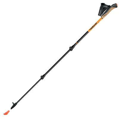 Палки для скандинавской ходьбы Gabel Carbon XT 3S-100 (7009351420000) - Robinzon.ua