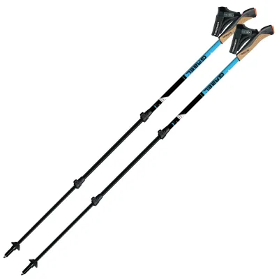 Палки для скандинавской ходьбы Gabel Tour XT F.L. (7009351550000) - Robinzon.ua